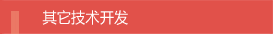 其它技术开发