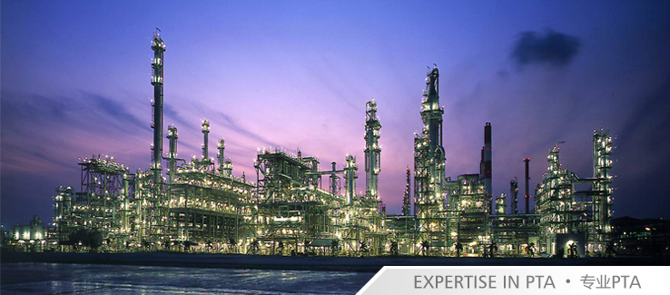 EXPERTISE IN PTA・专业PTA
